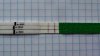 cd19.jpg