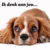Ik denk aan jou.jpg