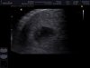 1E ECHO 6 WKN_0001.jpg