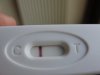 DSC02255.jpg