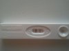 2012-04-19 08.09.36.jpg