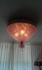 IMAG0204.jpg