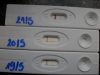 SDC12892.jpg