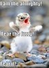 funny bird pictures (11).jpg