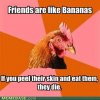 memes-friends-are-like-bananas[1].jpg