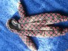 DSCN2103.jpg