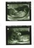 baby 001.jpg