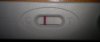 test4-9.jpg