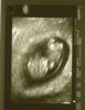 img001.jpg