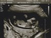 Scan 1.jpg