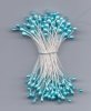 stamens.jpg