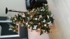 20151207_150033.jpg