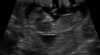 Image1.jpg