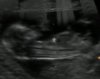 Image5.jpg