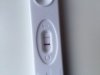 test.jpg