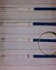 IMG_20160103_090653.jpg