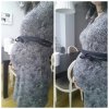 PhotoGrid_1452005559061.jpg