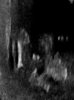 It's a boy.jpg