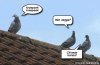 FB_IMG_1452101294771.jpg