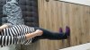 20160110_122631.jpg