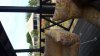 20160113_135306.jpg
