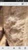 Screenshot_2016-01-19-07-11-19.jpg