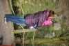 DSC_0296.jpg