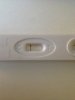11 dpo.jpg