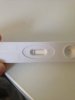 12 dpo.jpg