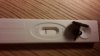 20160123_081013.jpg