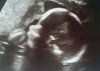 2016-01-25 12.10.52.jpg