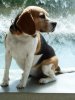 IMG-20160122-WA0000.jpg
