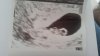 20160113_144850.jpg