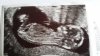 20160201_114411.jpg