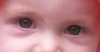 ogen2.JPG