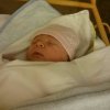 IMG_20160204_065849.jpg