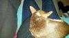IMG-20160204-WA0008.jpg