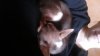 IMG-20160204-WA0006.jpg