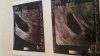 IMG-20160208-WA0004.jpg