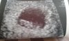 20160217_114456.jpg