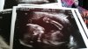 IMG-20160218-WA0013.jpg