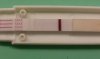 20160219_094541.jpg