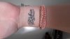 20160219_115359.jpg