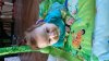 DSC_1786.jpg