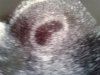 20160219_160908.jpg