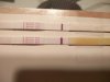 IMG_20160220_210418.jpg