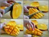 mango_eten1.jpg