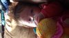 20160219_151541.jpg
