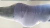 20160302_124205.jpg