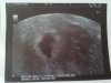 20160307_124832.jpg